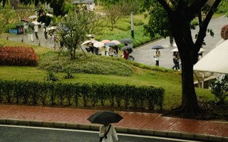 雨҈雨҈雨中的东软